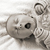 Baby Portrait Photography in Cambridge