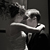 Wedding Photographer Cambridge